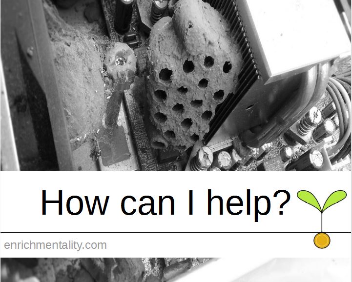 How can I help?