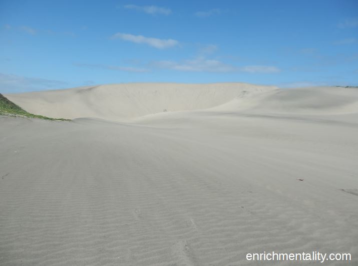 Sigatoka sand dunes