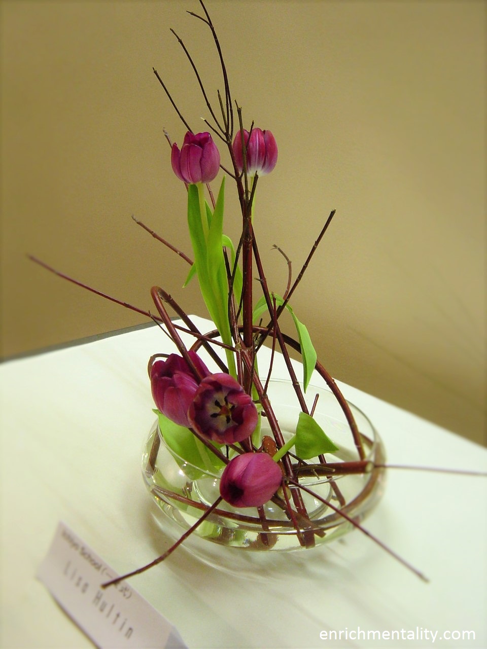 One of the most beautiful Ikebana I've seen exhibited, by Lisa Hultin at the Japan Festival, Melbourne