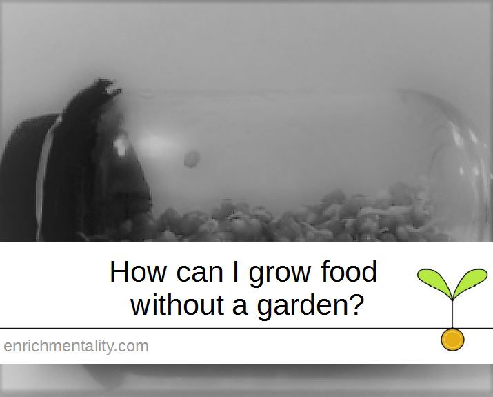 How can I grow food without a garden?