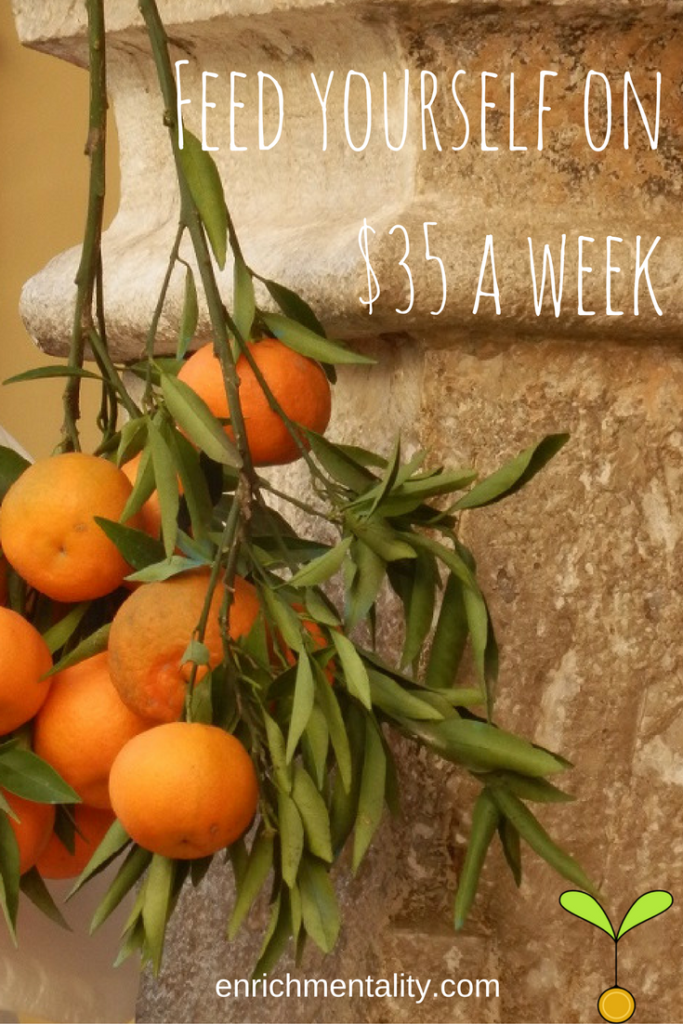 Cheap = tasty! Feed yourself on $35 a week