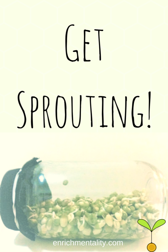 SproutsPinable