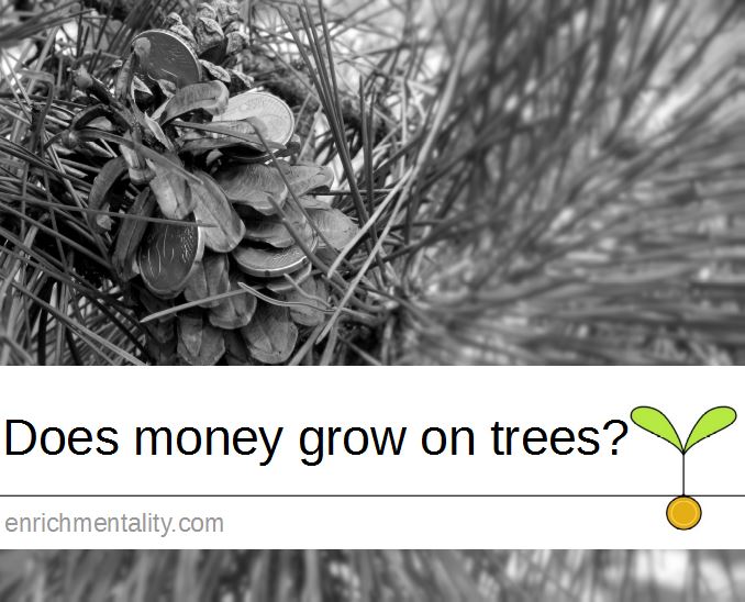Does money grow on trees?