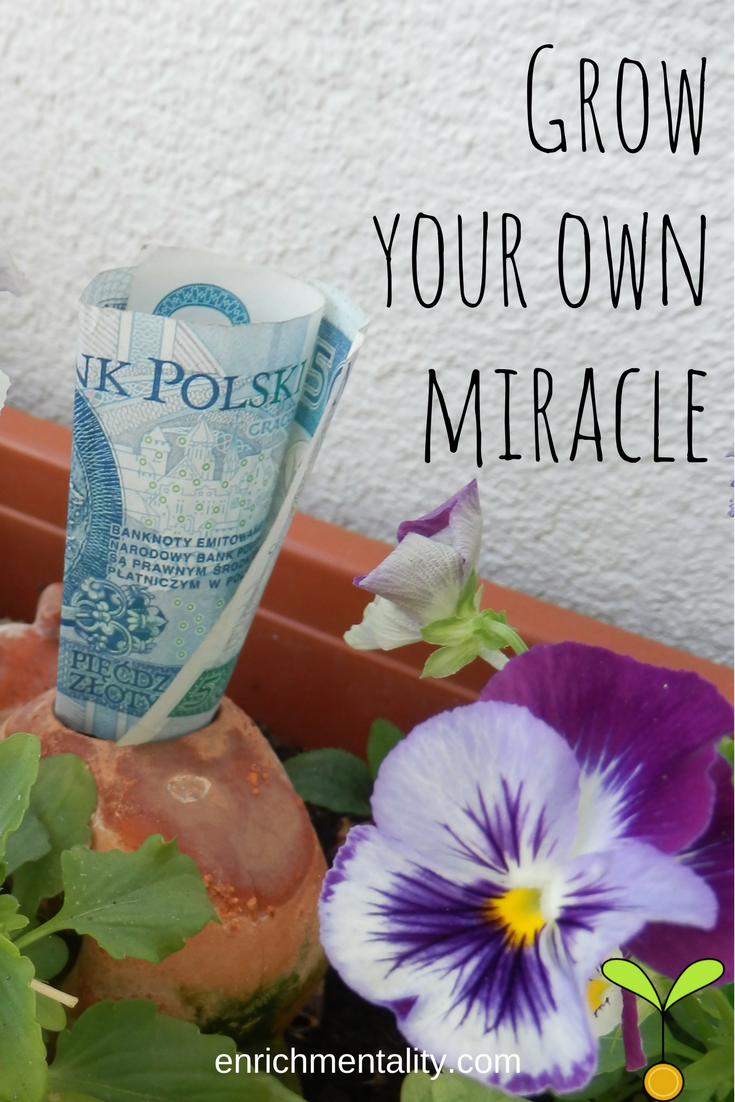 Grow Your Own Miracle Seed