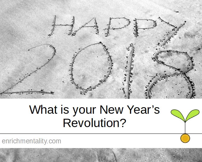 What is your New Years Revolution?