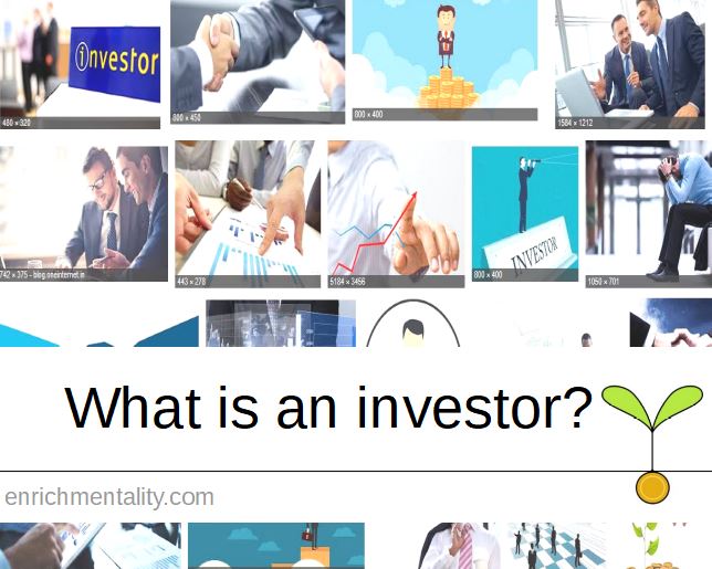 What is an investor?