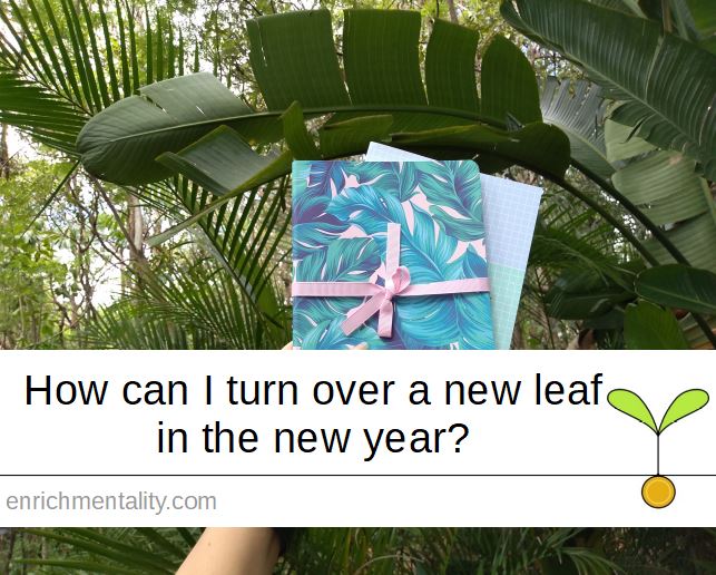 How can I turn over a new leaf in the New Year?
